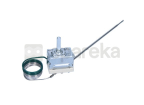 Thermostat C00525931