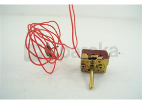  thermostat, sonde 55X9883