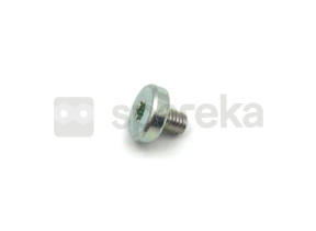 Vis à tête bombée m5x6 t20a3k 409827000