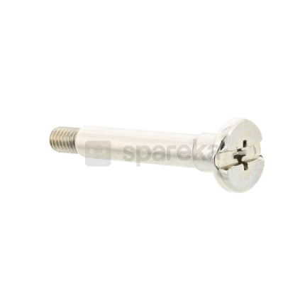 Boulon spécial Aspirateur 4055420956