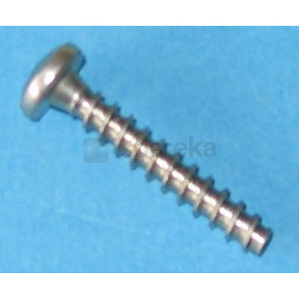 Vis corps pompe iris nm - tete ronde pointe plate 27 x 5,22 mm