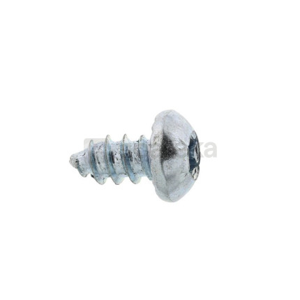 Vis torx (4.2x8 mm)-1